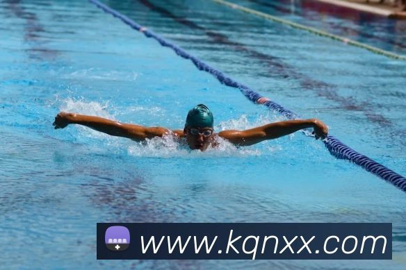 九游j9官网首页进入APP 封面图